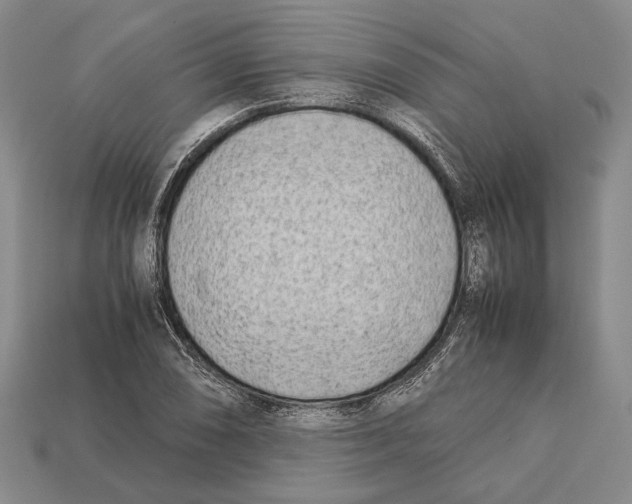 X0000113031074200909241409