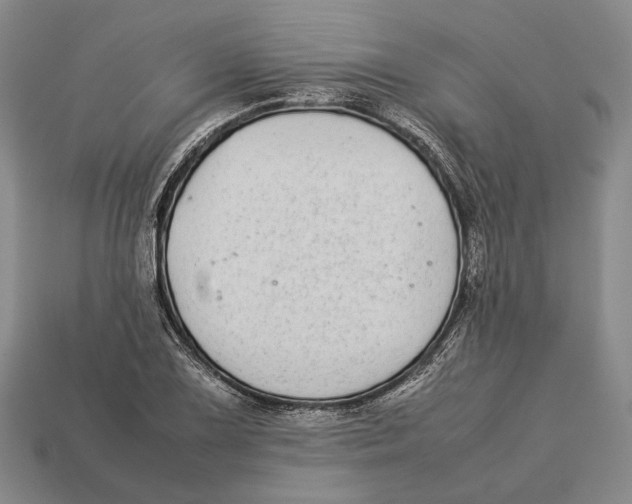 X0000113031075200909241409