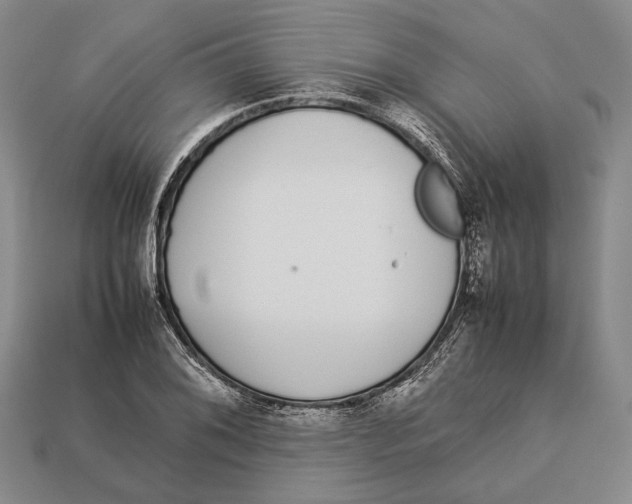 X0000113031076200909241409