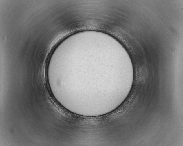 X0000113031078200909241409