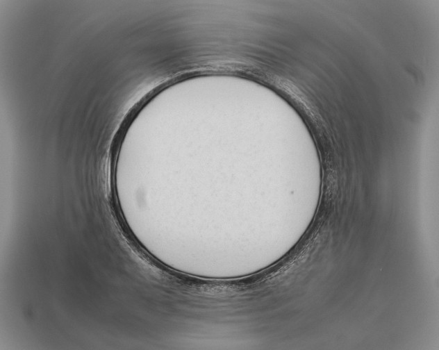 X0000113031079200909241409