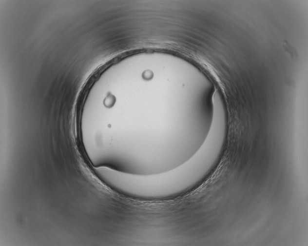 X0000113031080200909241409