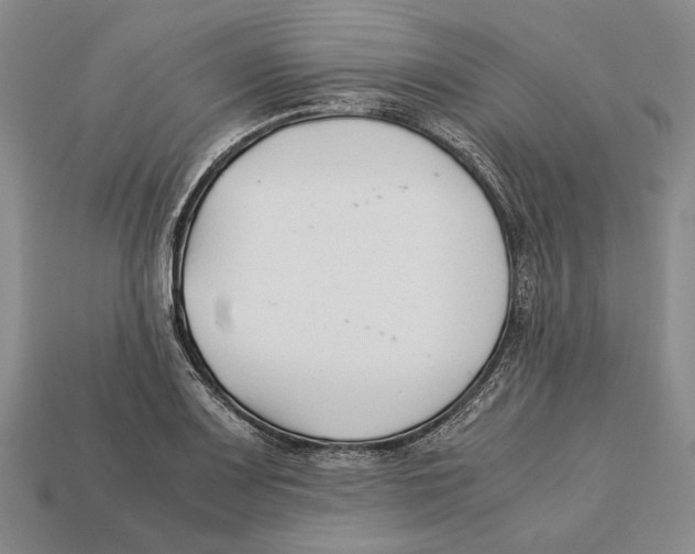 X0000113031083200909241408