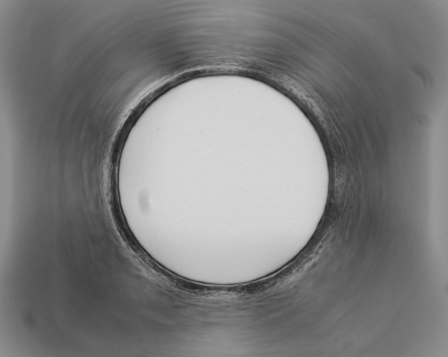 X0000113031085200909241408