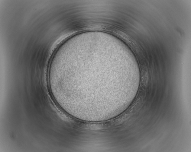 X0000113031086200909241408