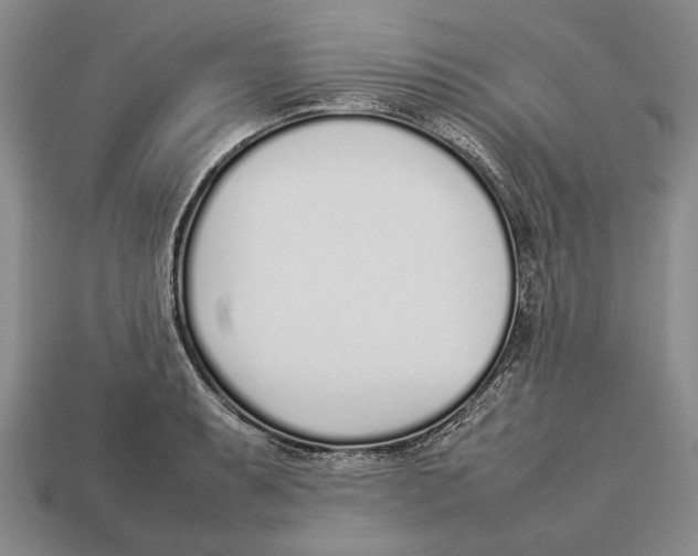 X0000113031087200909241408