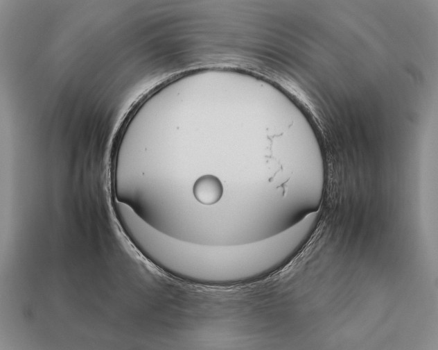 X0000113031088200909241408