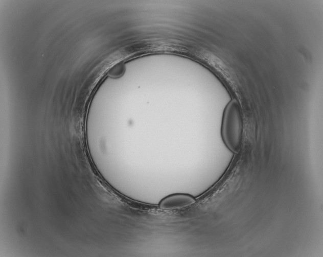 X0000113031089200909241408