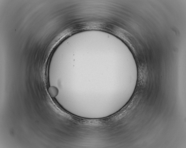 X0000113031090200909241408