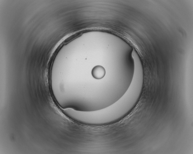 X0000113031092200909241408