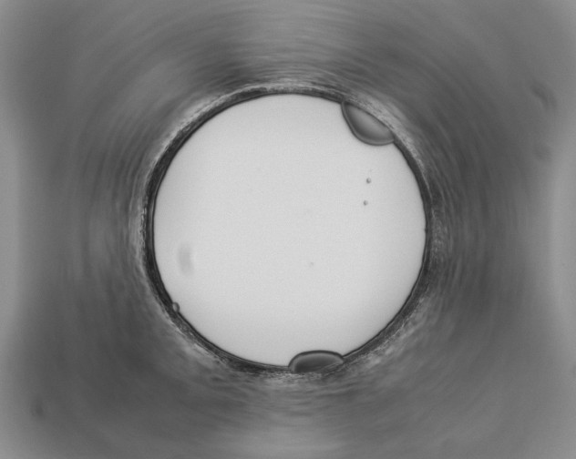 X0000113031093200909241408