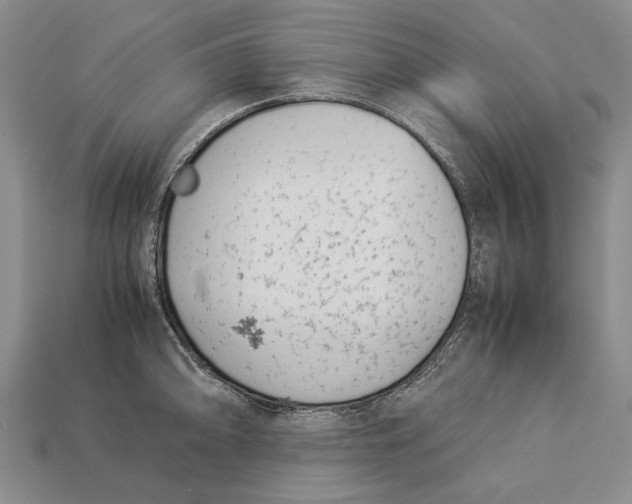 X0000113031094200909241408