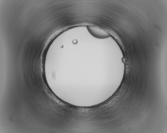 X0000113031096200909241408