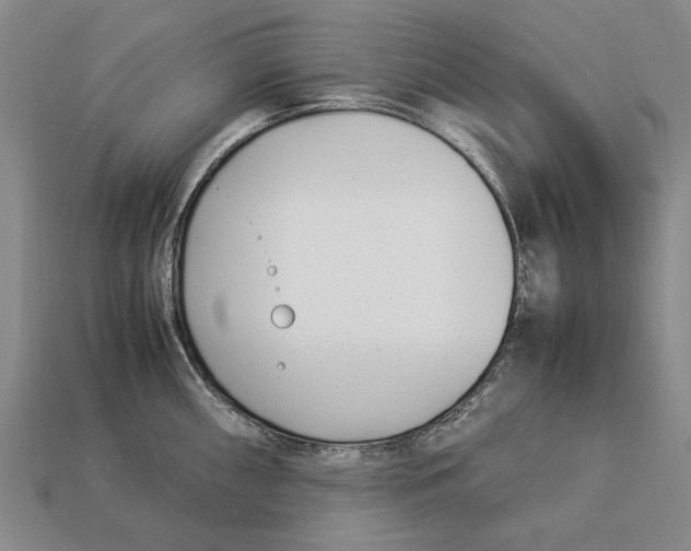 X0000113031098200909241408