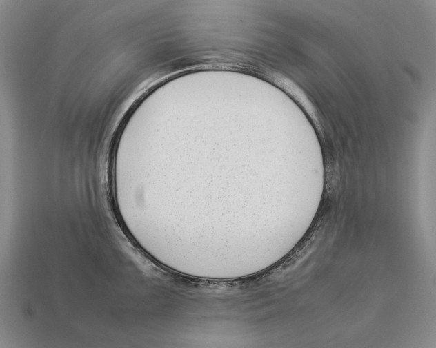 X0000113031099200909241408