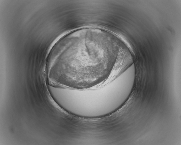 X0000113031100200909241408