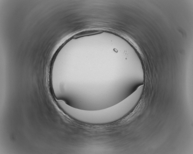 X0000113031101200909241408