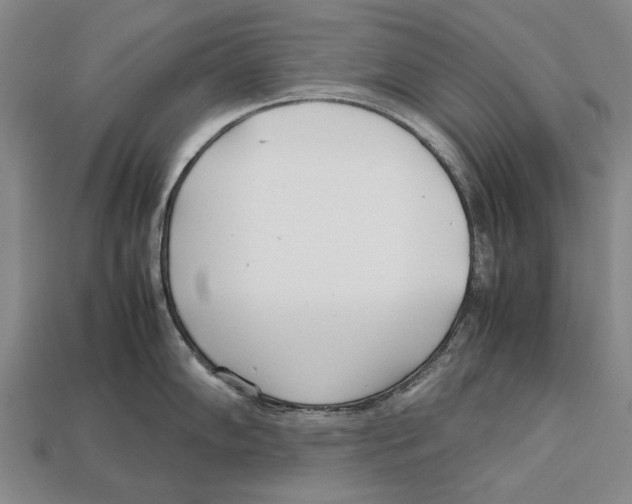 X0000113031102200909241408