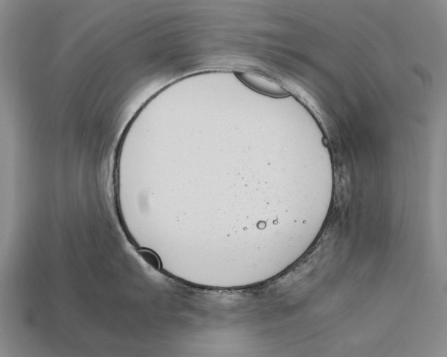 X0000113031103200909241408