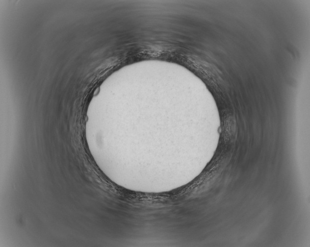 X0000113031105200909241408