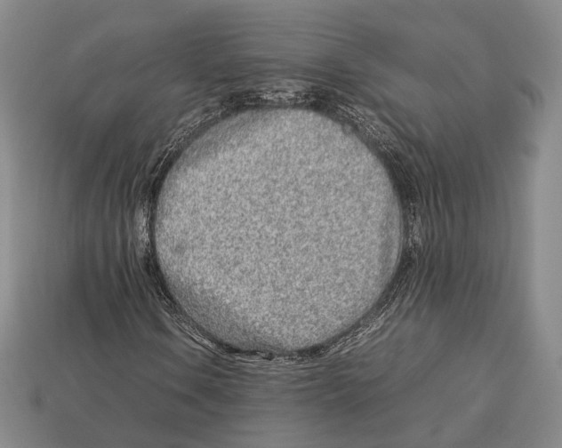 X0000113031106200909241408