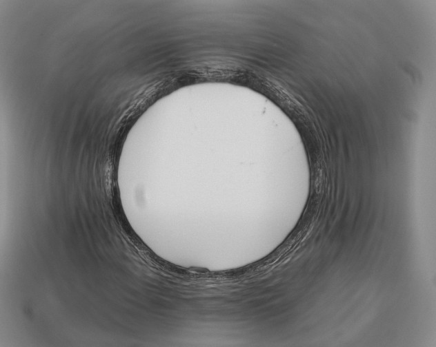 X0000113031108200909241408