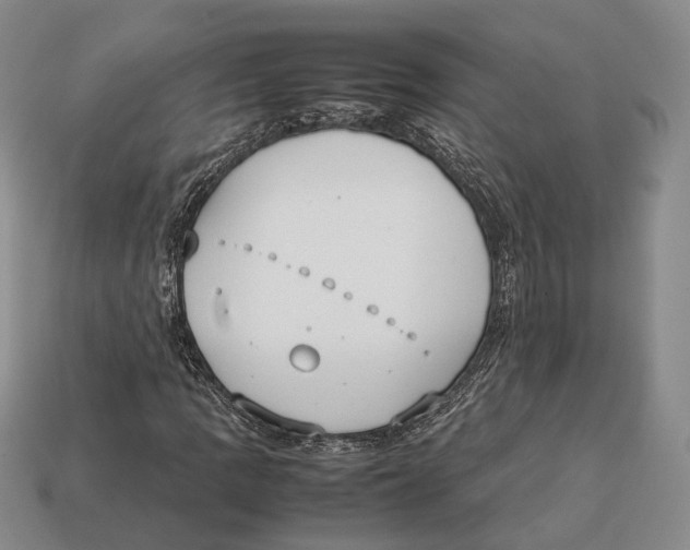 X0000113031109200909241408