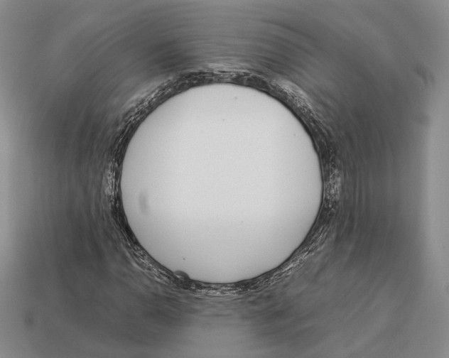 X0000113031110200909241408