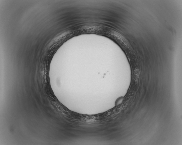 X0000113031111200909241408