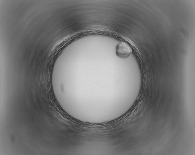 X0000113031112200909241408