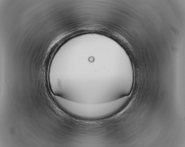 X0000113031114200909241408