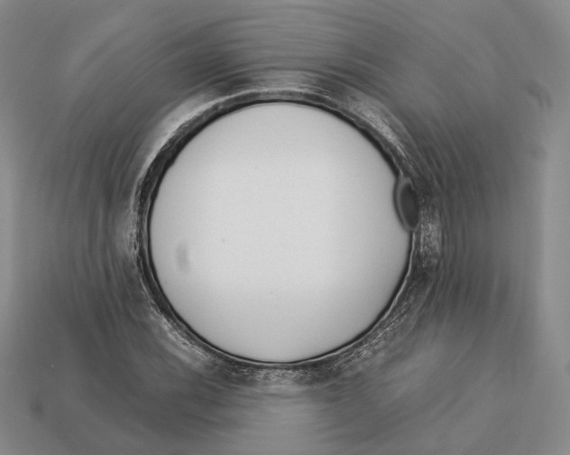 X0000113031116200909241408