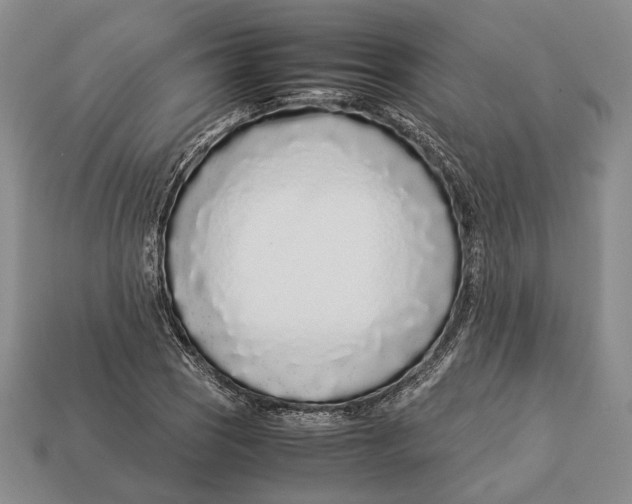 X0000113031121200909241408