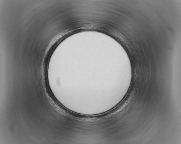 X0000113031122200909241408