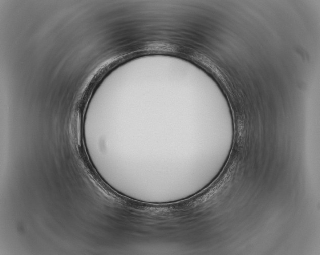 X0000113031123200909241408