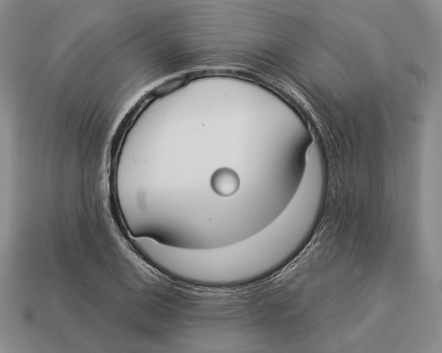 X0000113031124200909241408