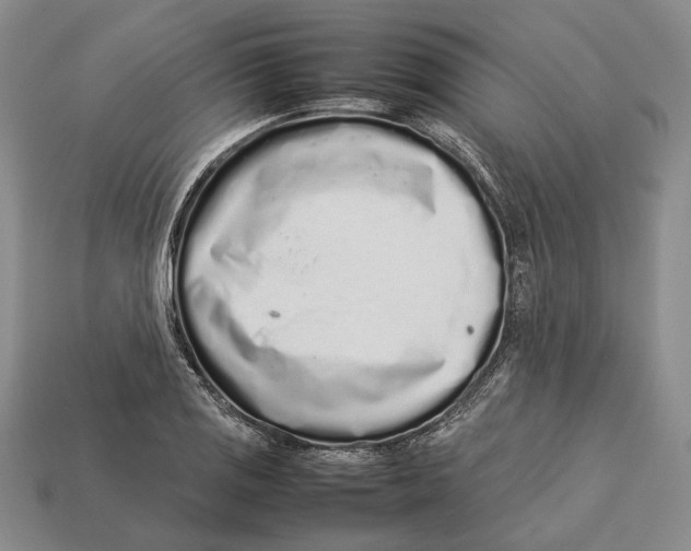 X0000113031125200909241408