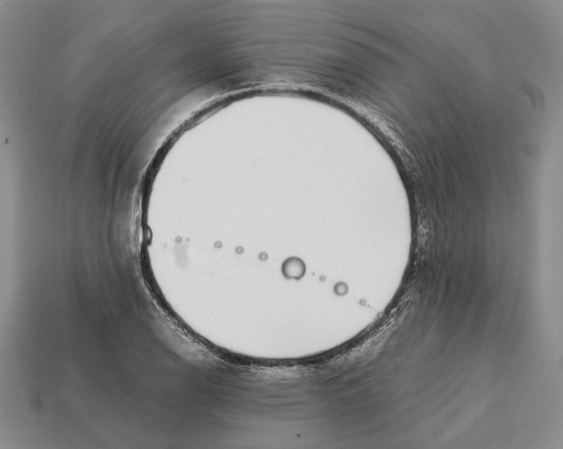 X0000113031126200909241408