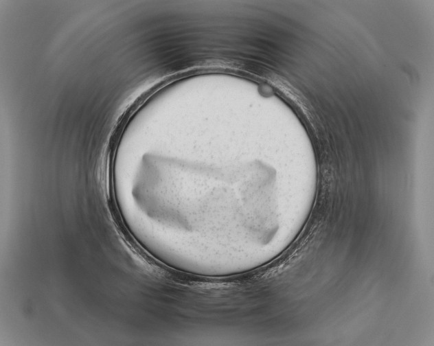 X0000113031127200909241408