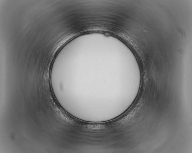 X0000113031129200909241408