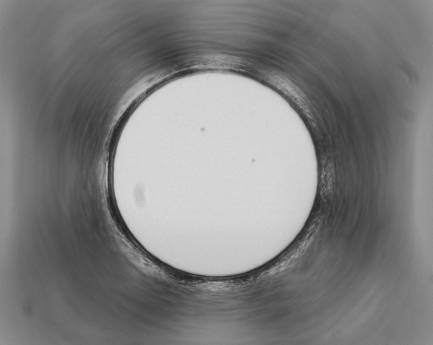 X0000113031130200909241408