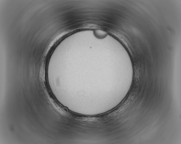 X0000113031131200909241408