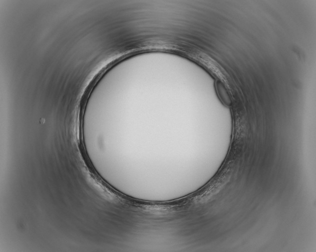 X0000113031132200909241408