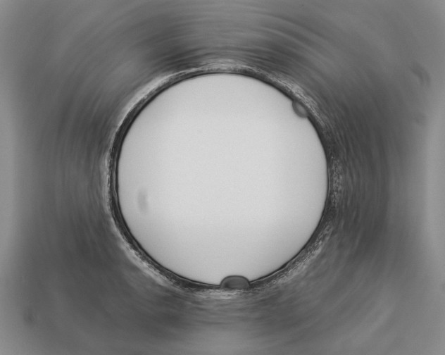 X0000113031134200909241408