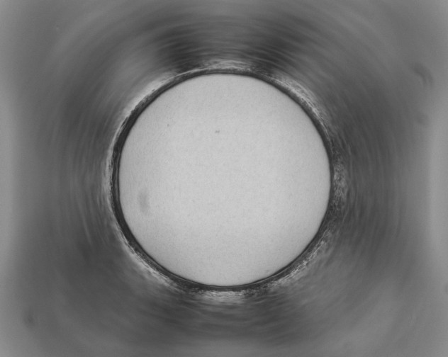 X0000113031135200909241408