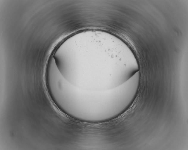 X0000113031136200909241408