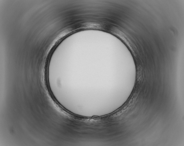 X0000113031139200909241408