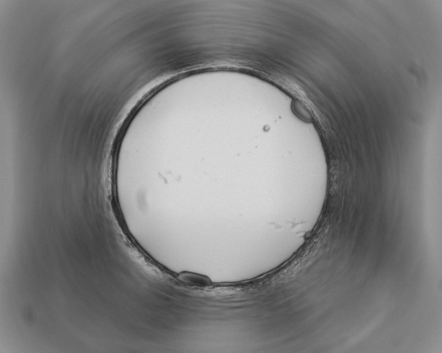 X0000113031140200909241408