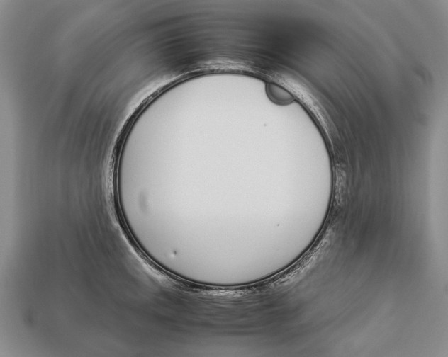 X0000113031141200909241408