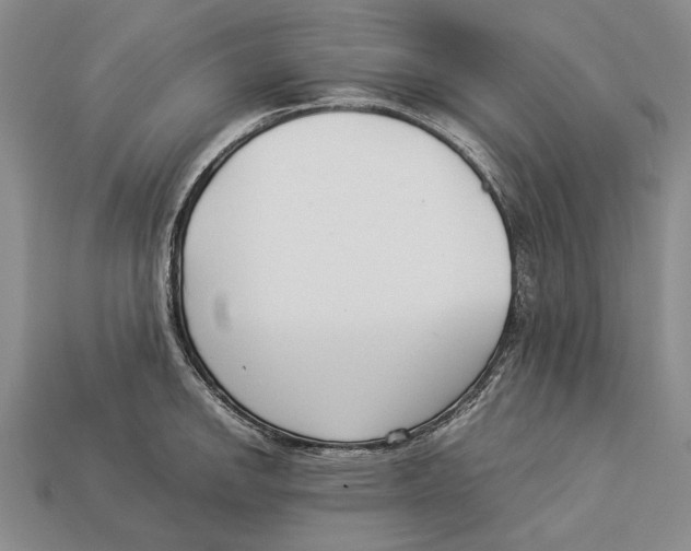 X0000113031142200909241408